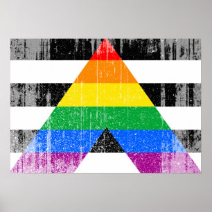 Poster ALLY FLAG DISTRESSED -.png