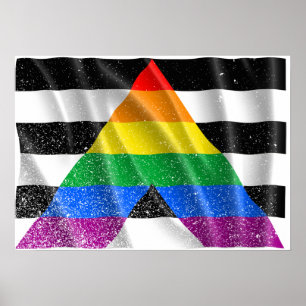 Póster ALLY FLAG FLYING -.png