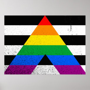 Póster ALLY FLAG ORIGINAL -.png