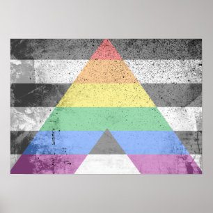 Póster ALLY FLAG ORIGINAL -.png