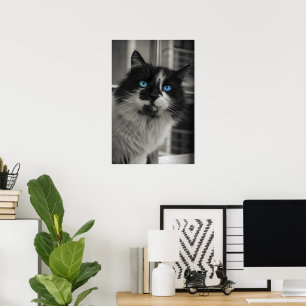 Poster Alma Azur Olhos Azuis Gato Preto e Branco Arte Ref