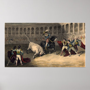 Poster Alma-Tadema - Corrida de Touros Com Touro Branco