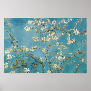 Poster Almond Blossom by Vincent van Gogh