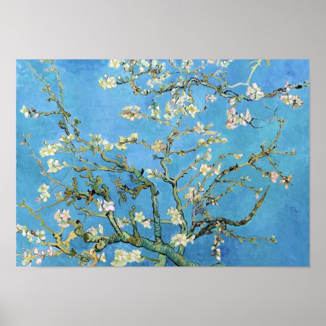 Poster Almond Blossom Vincent Van Gogh (Frente)