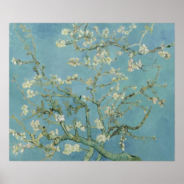 Poster Almond Blossom: Vincent Van Gogh (Frente)