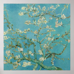 Póster Almond Blossoms por Vincent van Gogh
