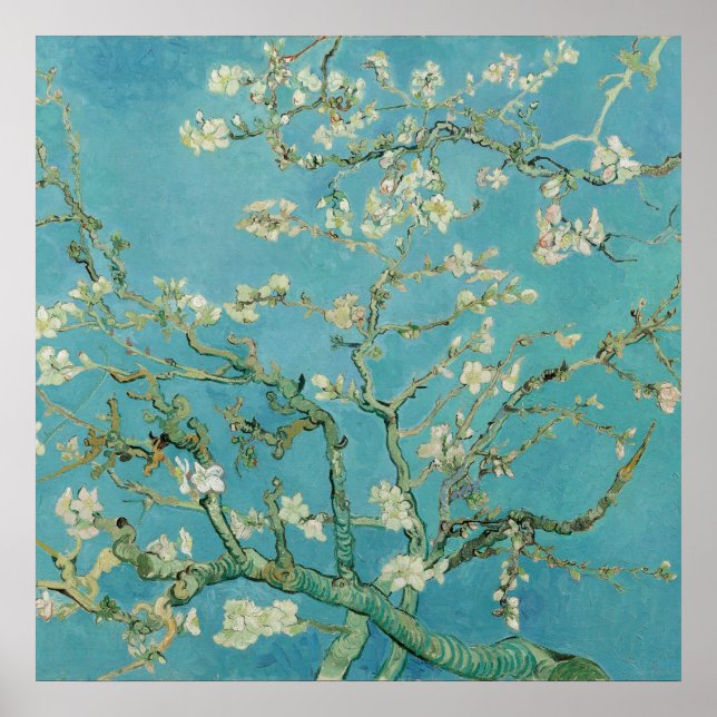 Póster Almond Blossoms por Vincent van Gogh (Frente)