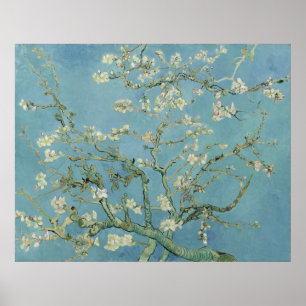 Poster Almond Blossoms por Vincent Van Gogh