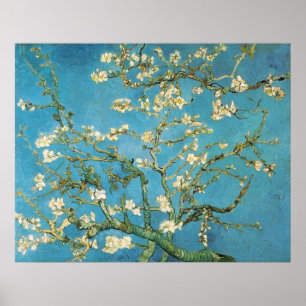 Poster Almond Tree Vincent van Gogh