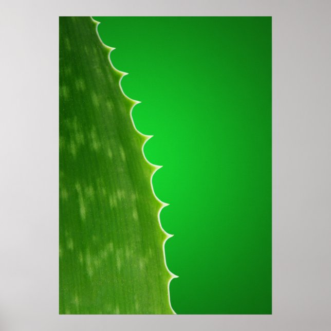 Poster Aloe (Frente)