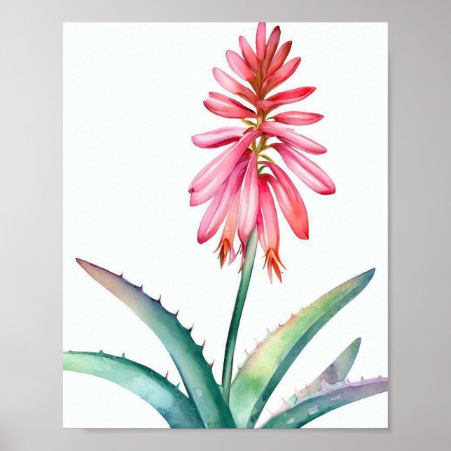 Poster Aloe em flor (Frente)