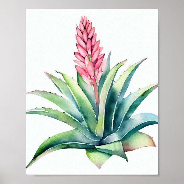 Poster Aloe em flor (Frente)