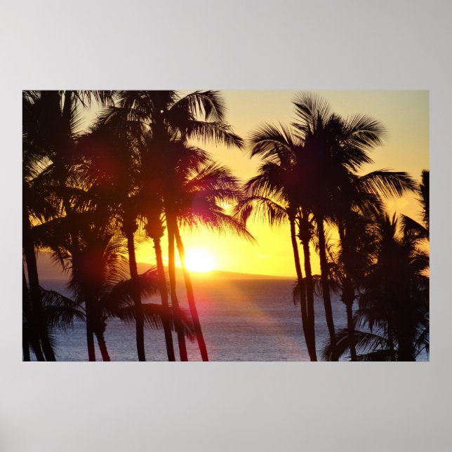 Poster Aloha Havaí Palmeiras Trópicos Pôr do Sol Viagem (Frente)