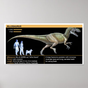 Poster Alossauro - Biologia Jurássico