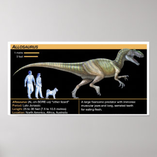 Poster Alossauro - Biologia Jurássico