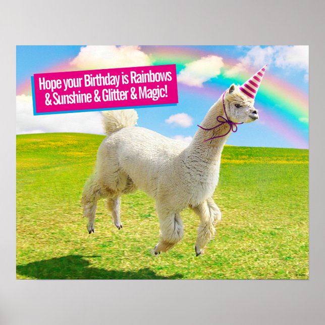Poster Alpaca Unicorn No Rainbow Sky (Frente)