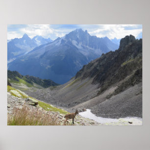 Poster Alpes franceses Ibex