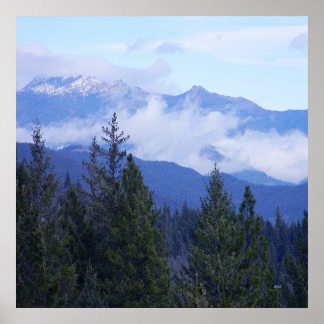 Poster Alps de Trindade... (Frente)