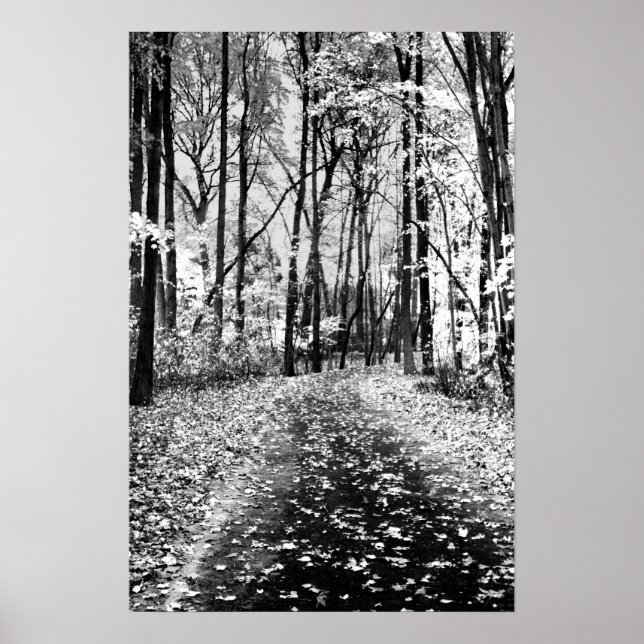 Poster Alto Sussurro (Frente)