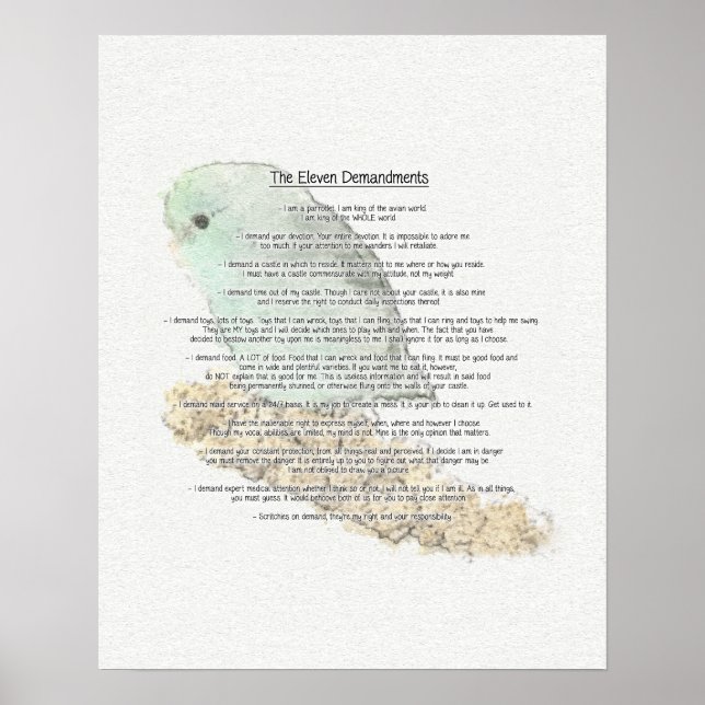 Poster Altos Demandamentos dos Parrotlets (Frente)