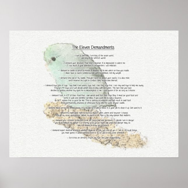 Poster Altos Demandamentos dos Parrotlets (Frente)