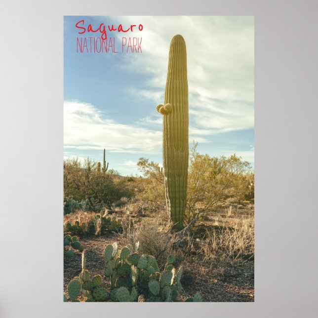 Poster Altura em Pé (Frente)