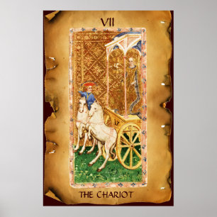 POSTER ALVOS DE RENASCIMENTO ANTIQUÍMICOS 7 / O CARIOTO