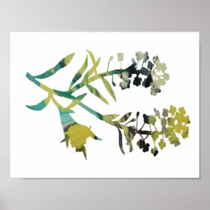Póster Alyssum