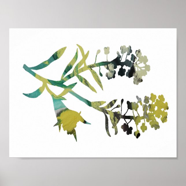 Póster Alyssum (Frente)