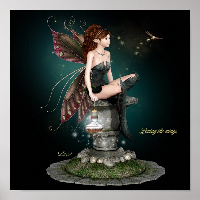 Póster Amando as asas (Frente)