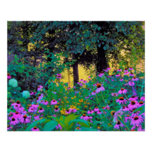 Póster Amanhecer Nebuloso na Minha Jardim Rubio