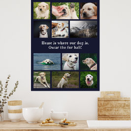 Poster Amante de Cachorros 12 Fotos Lar é Onde Nosso Cach