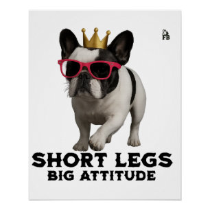 Póster Amantes de Cães Bulldog Francês