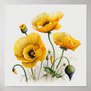 Poster Amarelas Flores de Papoula Arte Imprimir Cartaz