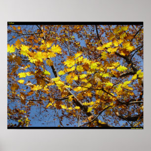Póster Amarelo