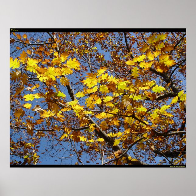 Póster Amarelo (Frente)