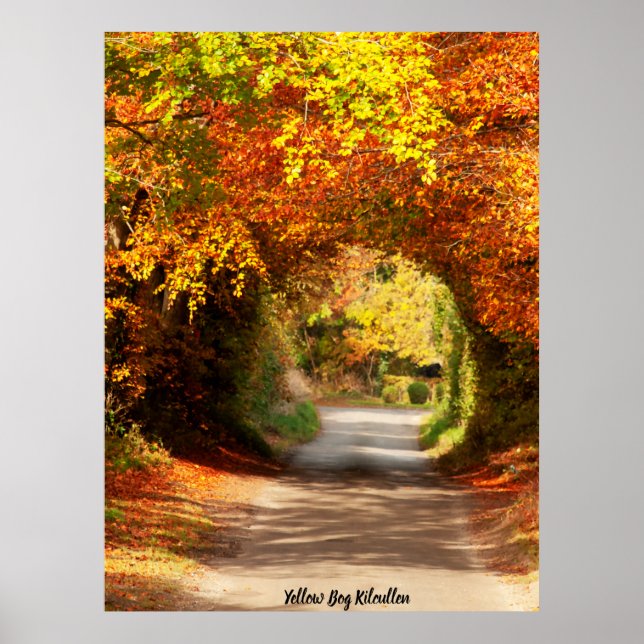 Poster Amarelo Bog Kilcullen (Frente)