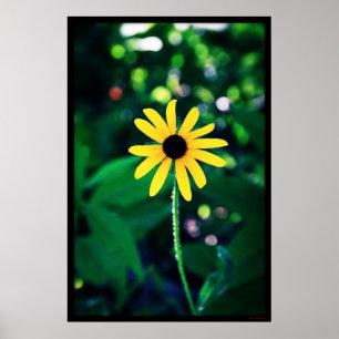 Poster amarelo da flor #5033