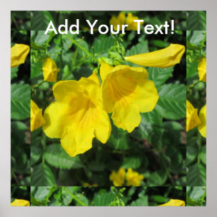 Póster Amarelo da flor do jardim da trombeta