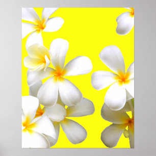Poster Amarelo de plumeria branca havaiana