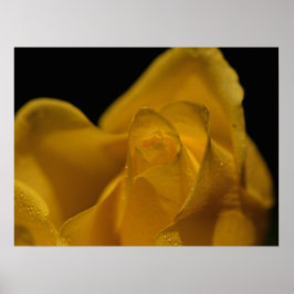 Poster Amarelo-Elegante-Solteiro Rosa Fechar