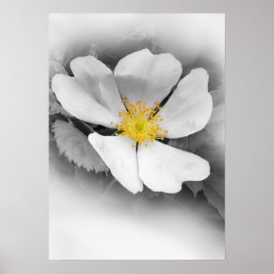 Póster amarelo em máscaras das cinzas
