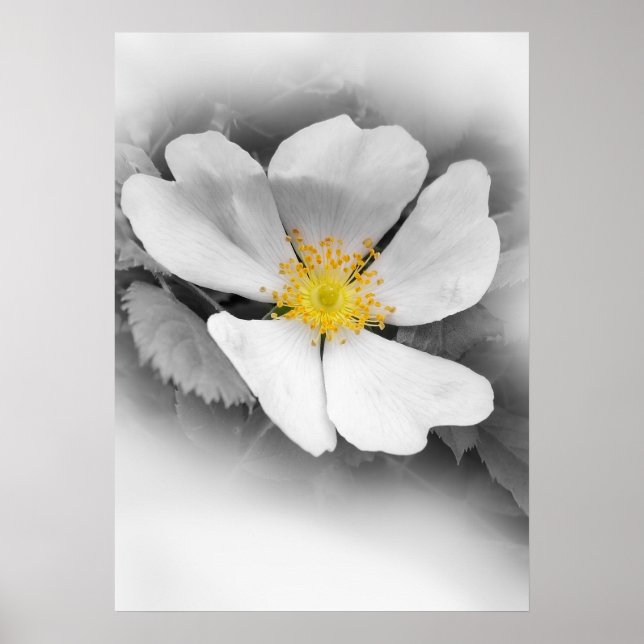 Póster amarelo em tons de cinza (Frente)