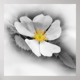 Poster amarelo em tons de cinza