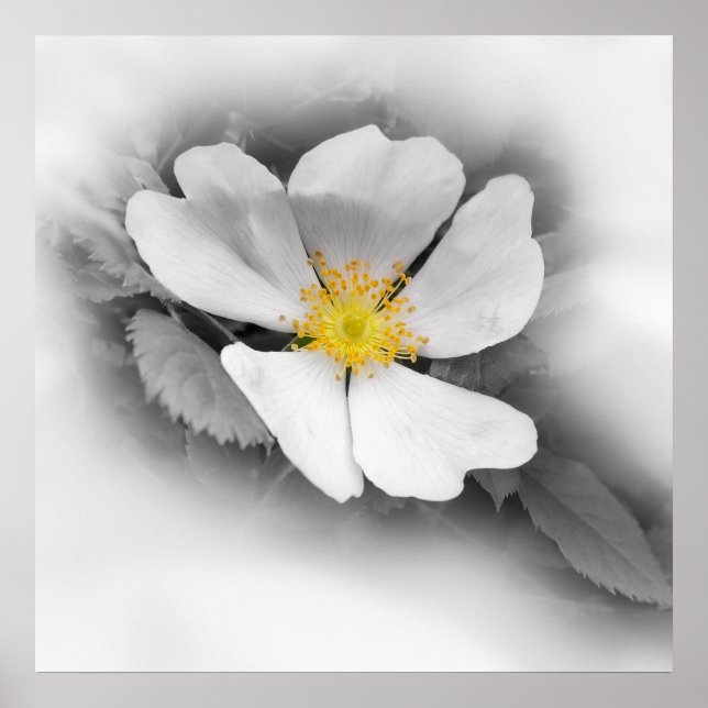 Poster amarelo em tons de cinza (Frente)