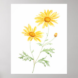 Poster Amarelo Margaret daisy watercolor