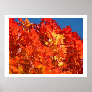 Póster Amarelo Vermelho Laranja Amarelo Abre Árvores impr