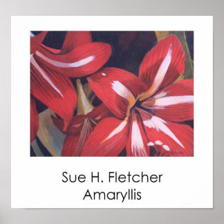 Póster Amaryllis