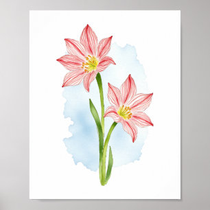 Poster Amaryllis Flower Watercolor