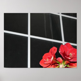 Poster Amaryllis, vidraça, flor de Natal, vermelha